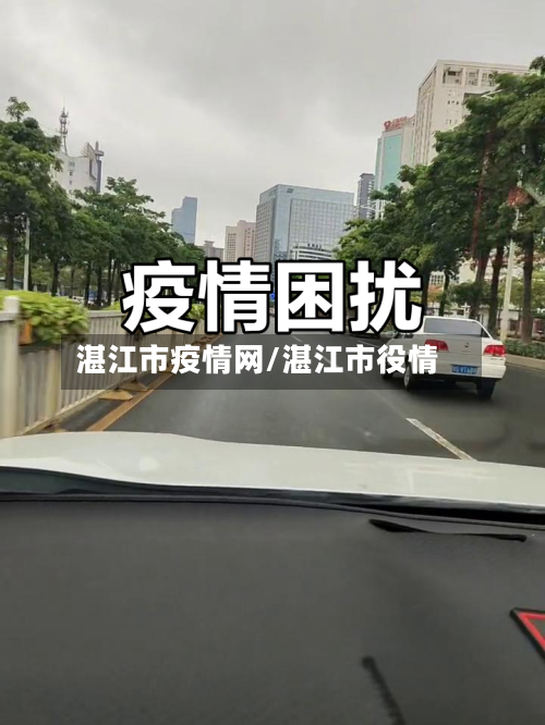 湛江市疫情网/湛江市役情-第2张图片