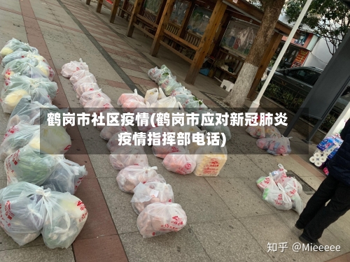 鹤岗市社区疫情(鹤岗市应对新冠肺炎疫情指挥部电话)-第3张图片