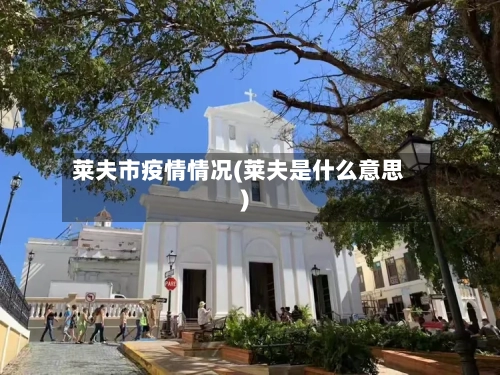 莱夫市疫情情况(莱夫是什么意思)