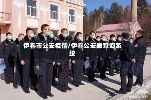 伊春市公安疫情/伊春公安局查询系统