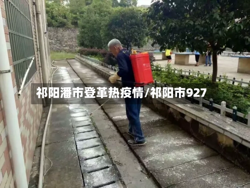 祁阳潘市登革热疫情/祁阳市927