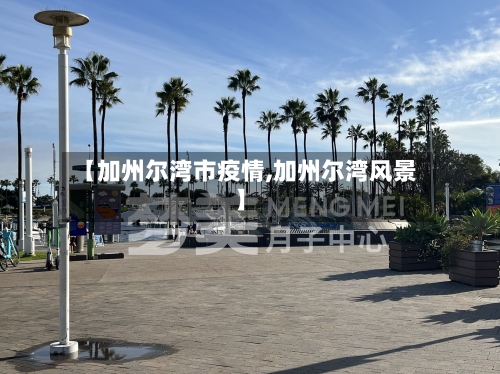 【加州尔湾市疫情,加州尔湾风景】-第2张图片