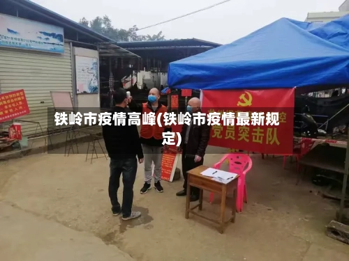 铁岭市疫情高峰(铁岭市疫情最新规定)-第2张图片