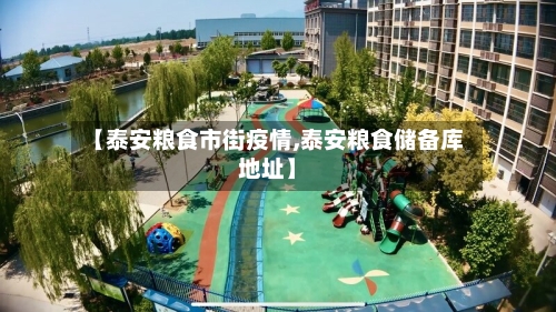 【泰安粮食市街疫情,泰安粮食储备库地址】
