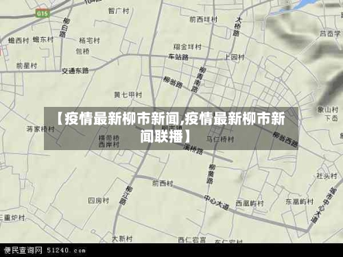 【疫情最新柳市新闻,疫情最新柳市新闻联播】-第2张图片