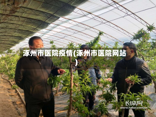 涿州市医院疫情(涿州市医院网站)-第2张图片