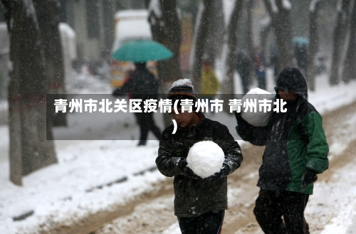 青州市北关区疫情(青州市 青州市北)