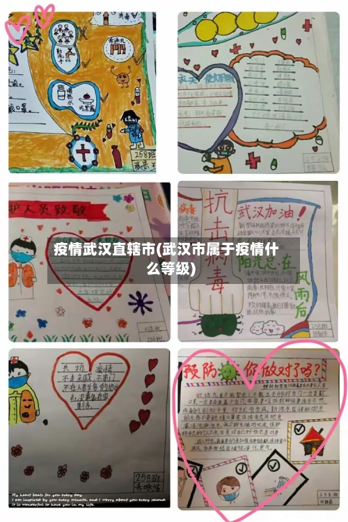 疫情武汉直辖市(武汉市属于疫情什么等级)-第2张图片